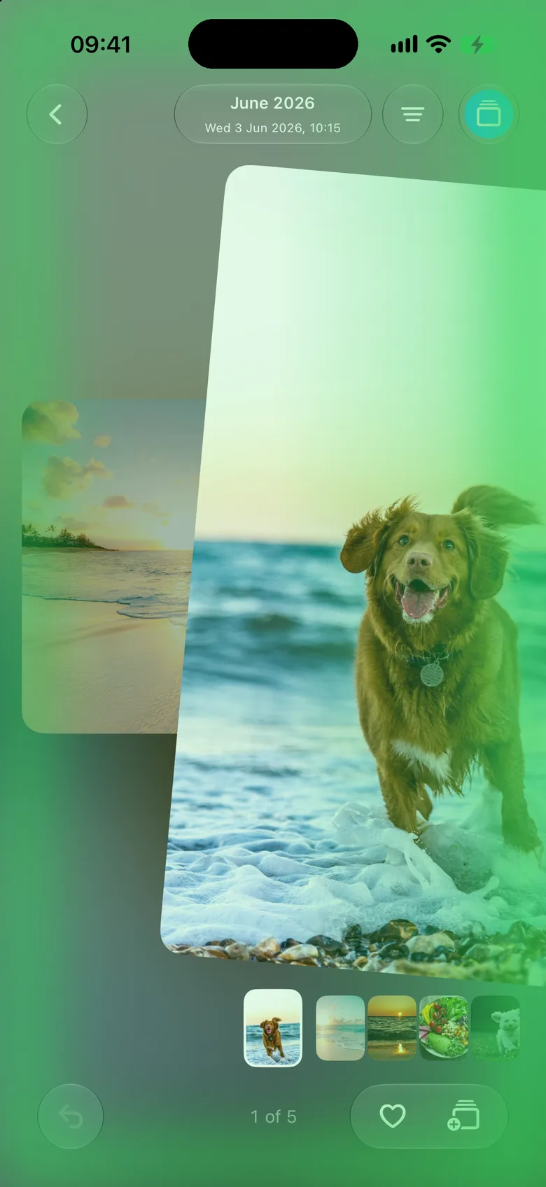 A photo of a dog on a beach being swiped right to keep it, with a green glow